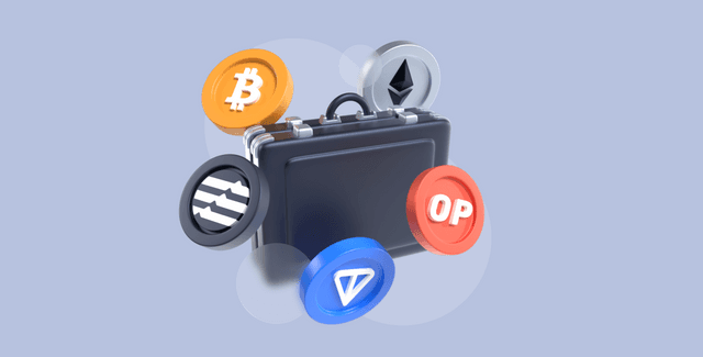 Long-term Crypto Portfolio With Flexible Buying Strategies